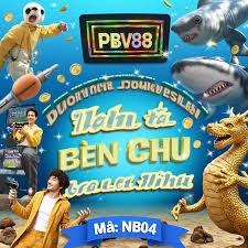 qk999